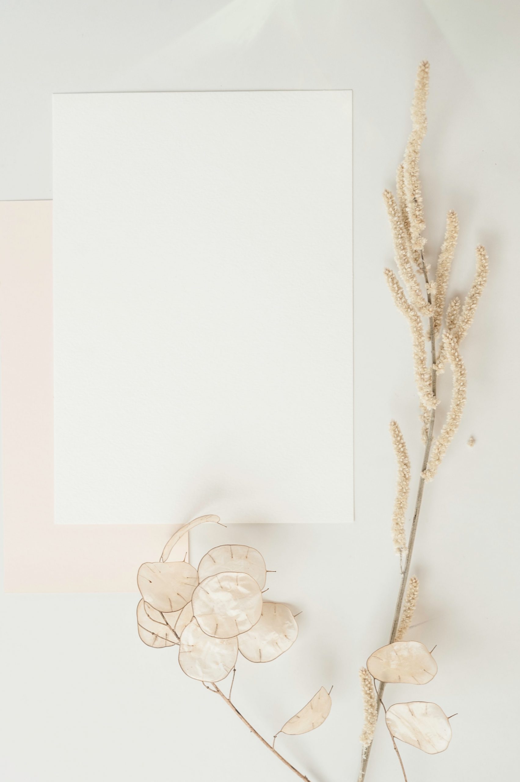 unsplash_envelope_bg